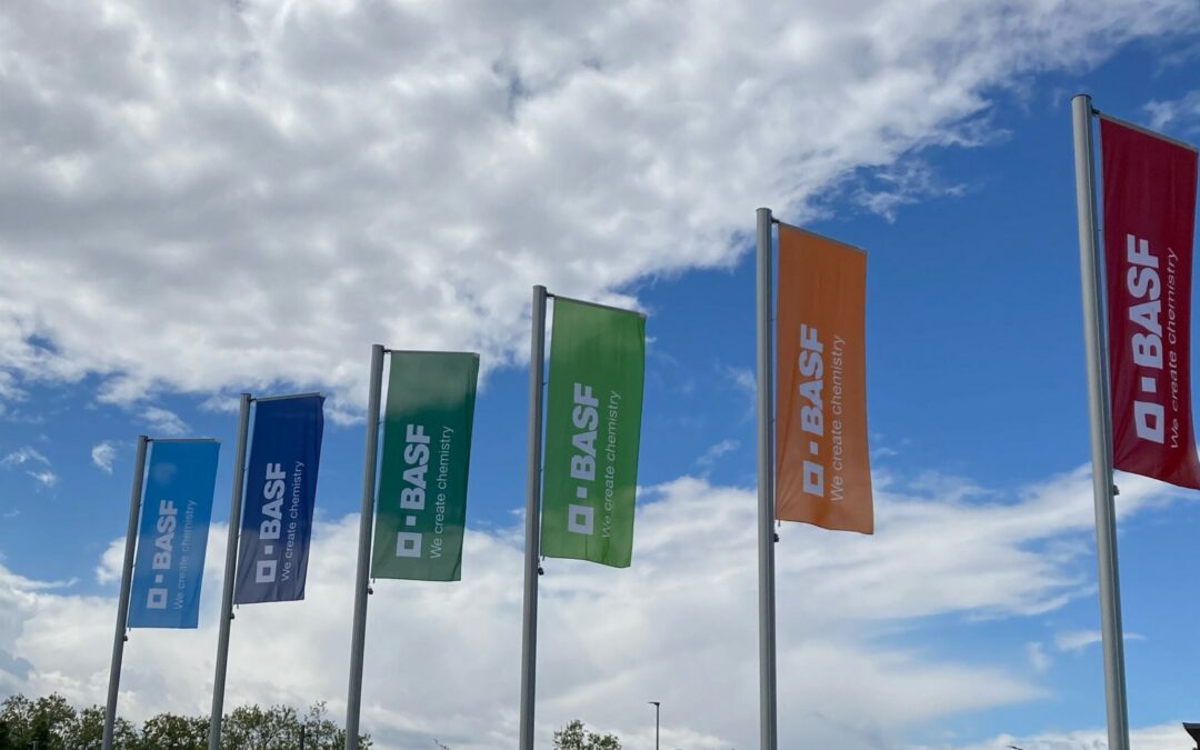 Rückblick: JobTalk&Walk bei BASF