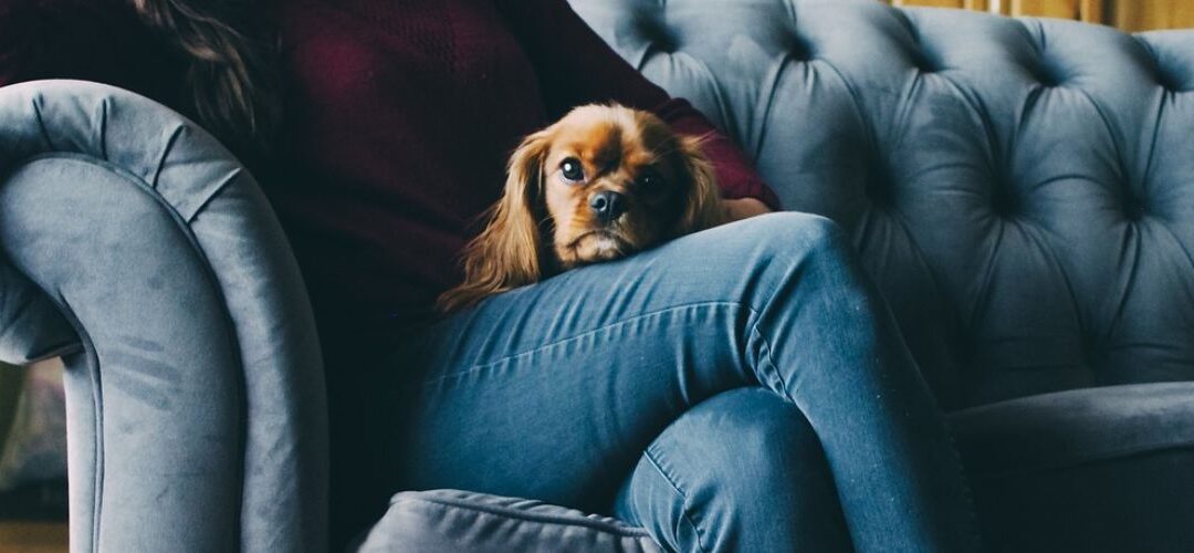 Für VdF-Mitglieder: 20 Zugänge für die Mental-Health-Plattform couch:now